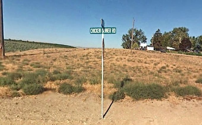 Discover chicken road online