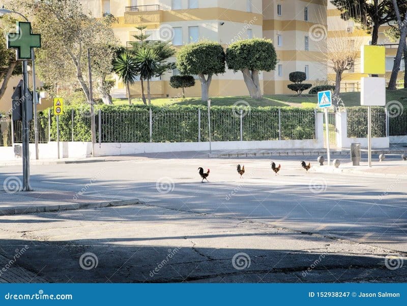 Descubre el Exclusivo Juego de Casino Chicken Road en España Ahora, chicken road game